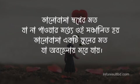 না পাওয়া ভালোবাসার কবিতা