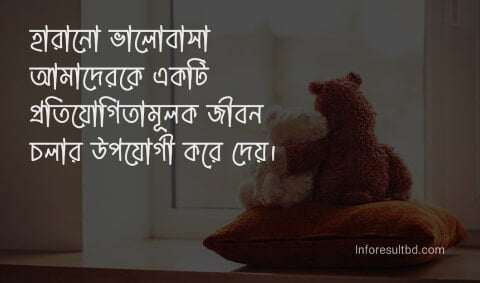 হারানো ভালোবাসা নিয়ে উক্তি