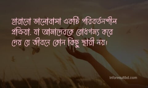 হারানো ভালোবাসা নিয়ে স্ট্যাটাস